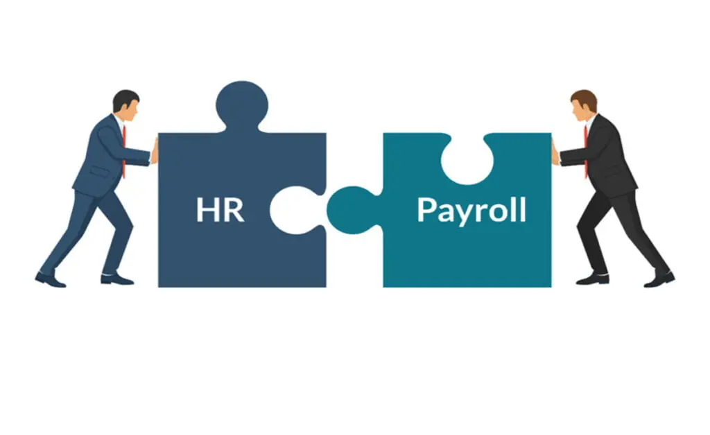 What Are HR Payroll Services