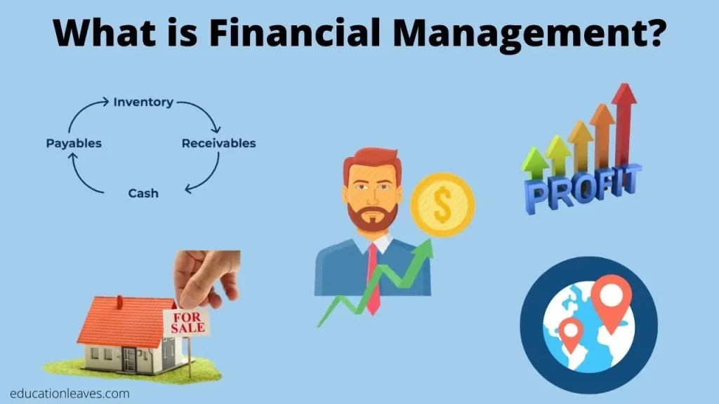 Understanding the Basics of Business Finance Management